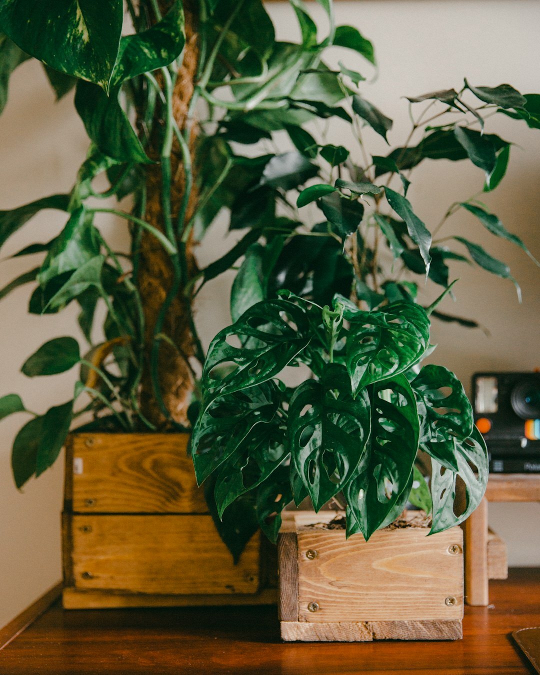 Laptop and notebook on a wooden desk with a plant